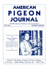 Magazine Cover